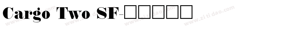Cargo Two SF字体转换